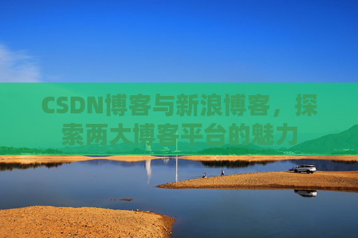 CSDN博客与新浪博客,探索两大博客平台的魅力
